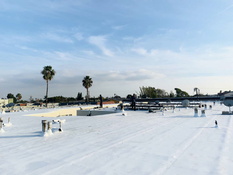 Single Ply Membrane Technology : T and G Roofing